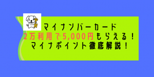 マイナンバーのマイナポイントを徹底解説！PayPayやSuica等に2万利用で5,000円分付与！