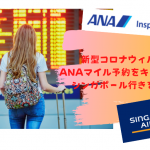【新型コロナウィルス肺炎】ANAで取ったシンガポール行き国際線特典航空券のキャンセルは無料でできる!